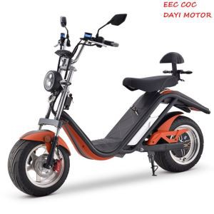 Elektrisk scooter Citycoco 2000w